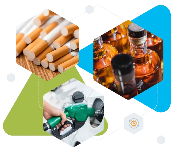 eCustoms - Foreign trade 5 EMCS Sledite premikom trosarinskega blaga bizBox eCustoms